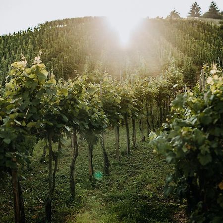 Weingut Meurer Apartment Reil Bagian luar foto