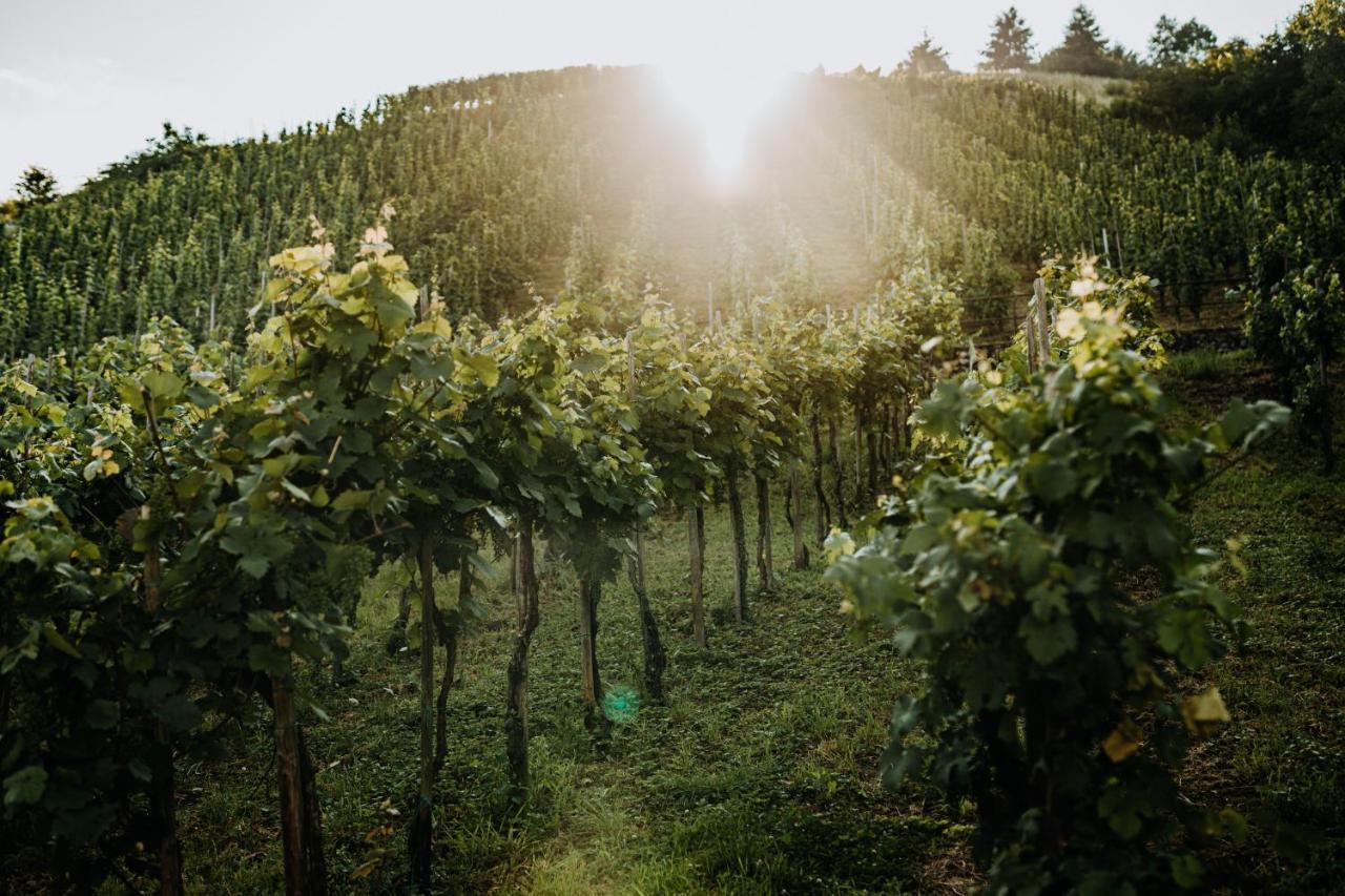 Weingut Meurer Apartment Reil Bagian luar foto
